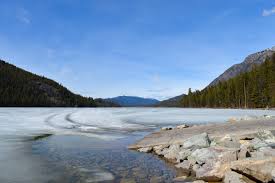 Image result for Leek Park B C