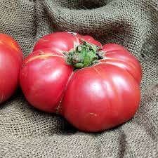 Afbeeldingsresultaat voor brandywine tomato