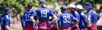Image result for Lyne Cricket Club