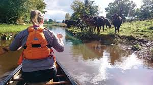 Image result for Halifax Canoe Club