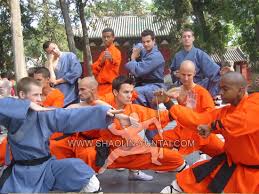 Image result for Shaolin Ancestors kung Fu School