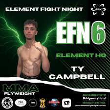 Image result for Full Element Mixed Martial Arts