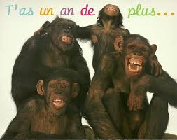 http://t0.gstatic.com/images?q=tbn:ANd9GcQYlyFo9rIpUOPOkMajIk_vxh51abZelpkBp2M28yOtBmOP8Zb5