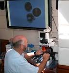 JCVI: Research / Projects / Global Ocean Sampling Expedition / Photos