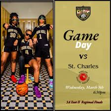 Image result for Hinckley & Bosworth Lady Hoops Basketball Club