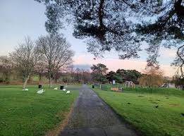 Image result for Chester-Le-Street & District Athletics Club