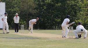 Image result for Hem Heath Cricket Club