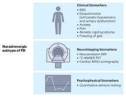 Image result for Calne Alpha 4