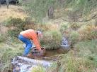 Cleaning the water intake. The leaves of autumn quickly block the intake - via Daymix
