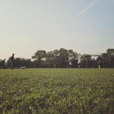 Image result for Cowdrey CC