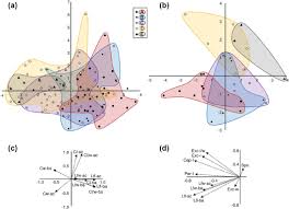 Attēlu rezultāti vaicājumam “Distichium capillaceum sporophyte”