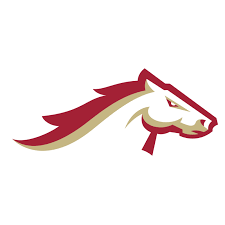 Image result for Staffordshire Stallions