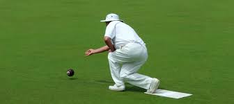 Image result for Avon & Sommerset Constabulary Bowls Club