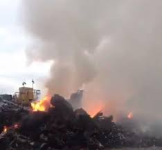 Image result for Swindon Flames