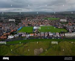 Image result for Whitby Cricket Club