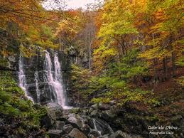 Image result for cascate del dardagna