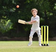 Image result for Penn Cricket Club