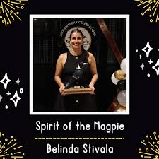 Image result for Ledbury Magpies Netball Club