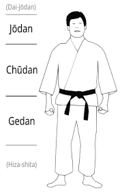 Image result for Jodan Karate