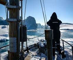 Image result for Ildblomkarse