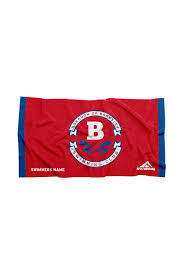 Image result for Borough Of Barnsley Swimming Club