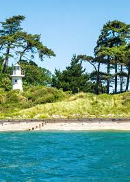 Image result for New Forest/Waterside