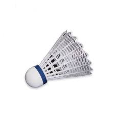 Image result for Thame Shuttles Badminton Club