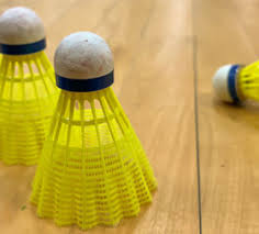 Image result for Gloucester Badminton Club