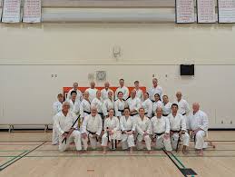 Image result for Aylesbury Vale Seido Karate