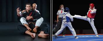 Image result for COMBAT TAEKWONDO