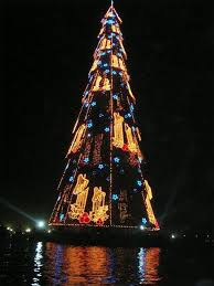 مجموعة صور لأجمل ـشجرة عيد الميلاد - صفحة 3 Images?q=tbn:ANd9GcQYqnJy09ubPwCqe7MBxwZDkz3JxIp1d7idaZ8iWfamN3VJEYWd8A