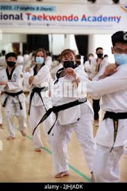 Image result for International Tae Kwon Do Academy