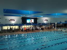 Image result for Hastings Seagulls Swimming Club