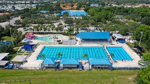 Image result for Selby Tiger Sharks Swimming Club