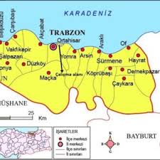 Attēlu rezultāti vaicājumam “Herzogiella seligeri sporophyte”