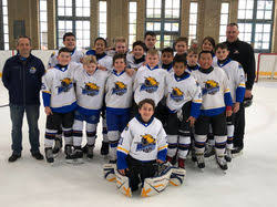 Image result for Haringey Greyhounds Ice Hockey Club