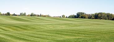 Image result for redexim tehron