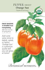 Afbeeldingsresultaat voor orange sun sweet pepper