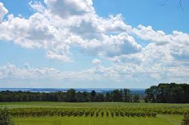 Image result for Biddenham Cricket Club