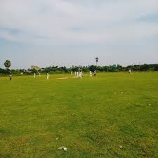 Image result for Runnymede Rascals Cricket Club