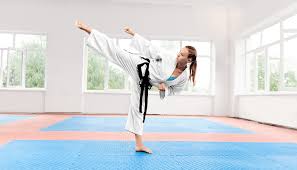Image result for Okami Karate & Fitness Schools