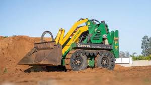 Image result for dipperfox tehron