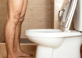 Image result for german toilet