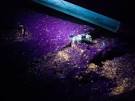 Deepwater Horizon oil spill