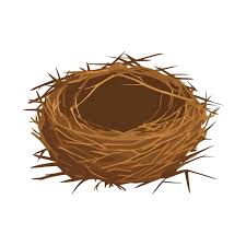 Attēlu rezultāti vaicājumam “nest”