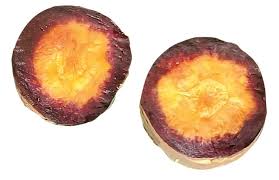 Attēlu rezultāti vaicājumam “Daucus carota subsp. carota fruit”