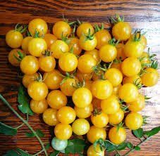 Afbeeldingsresultaat voor broad ripple yellow currant tomato