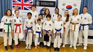 Image result for Phil Little Choi Kwang Do Academy