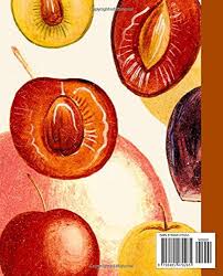 Attēlu rezultāti vaicājumam “Prunus cerasifera var. divaricata”