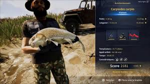 Image result for Carpiodes carpio